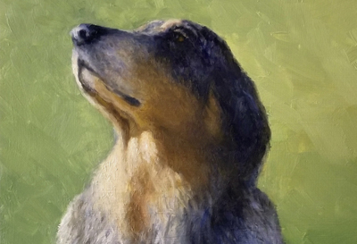 Aussie dog oil painting by Tim Long